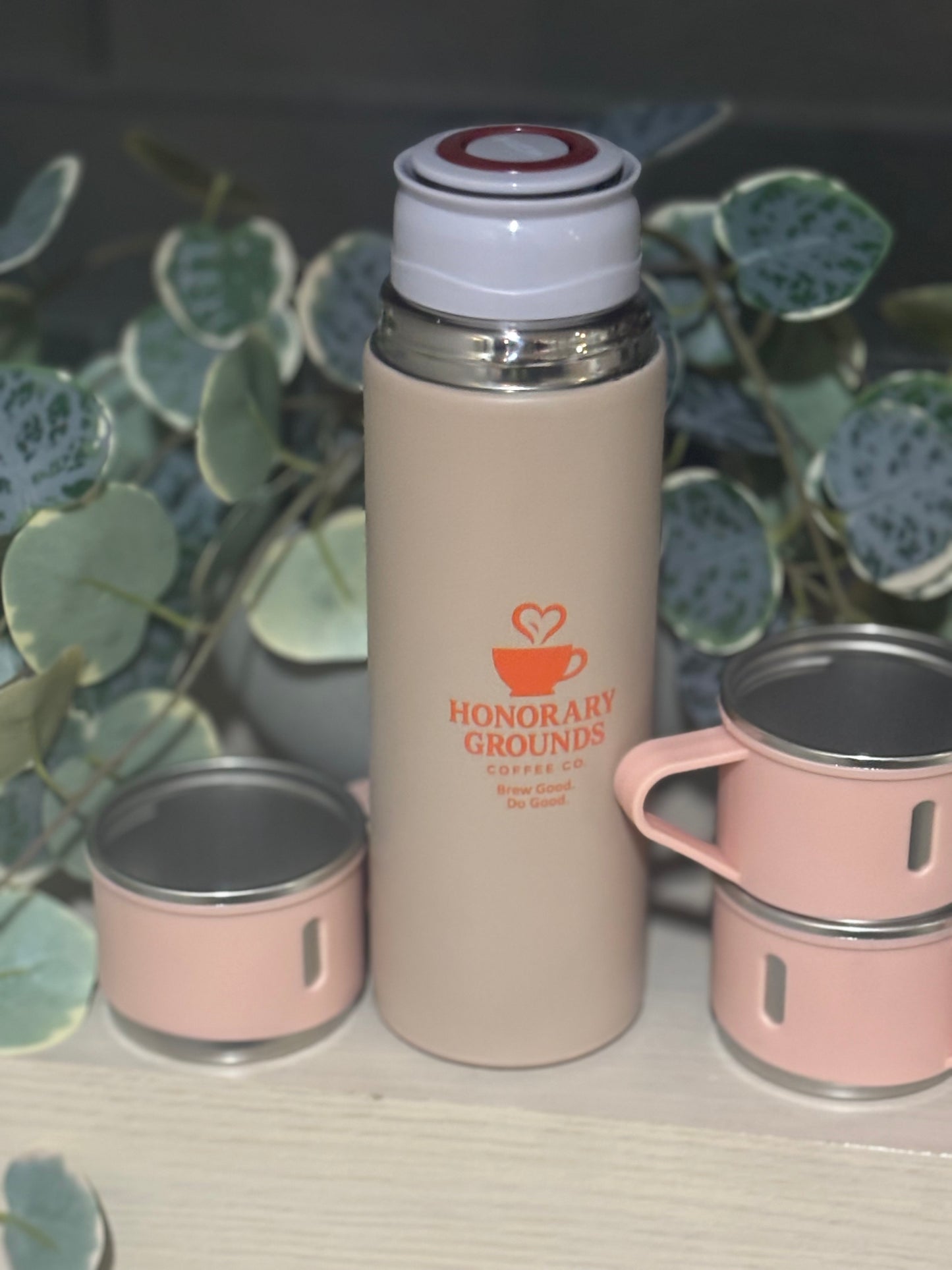 Stainless Steel Thermo 16.9oz