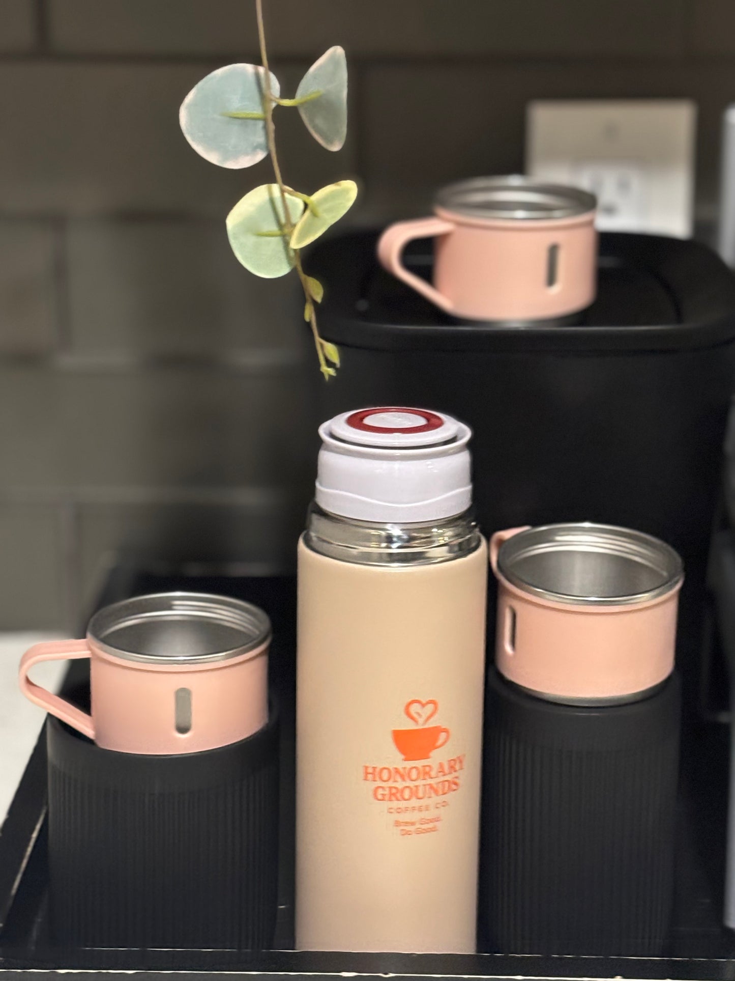 Stainless Steel Thermo 16.9oz