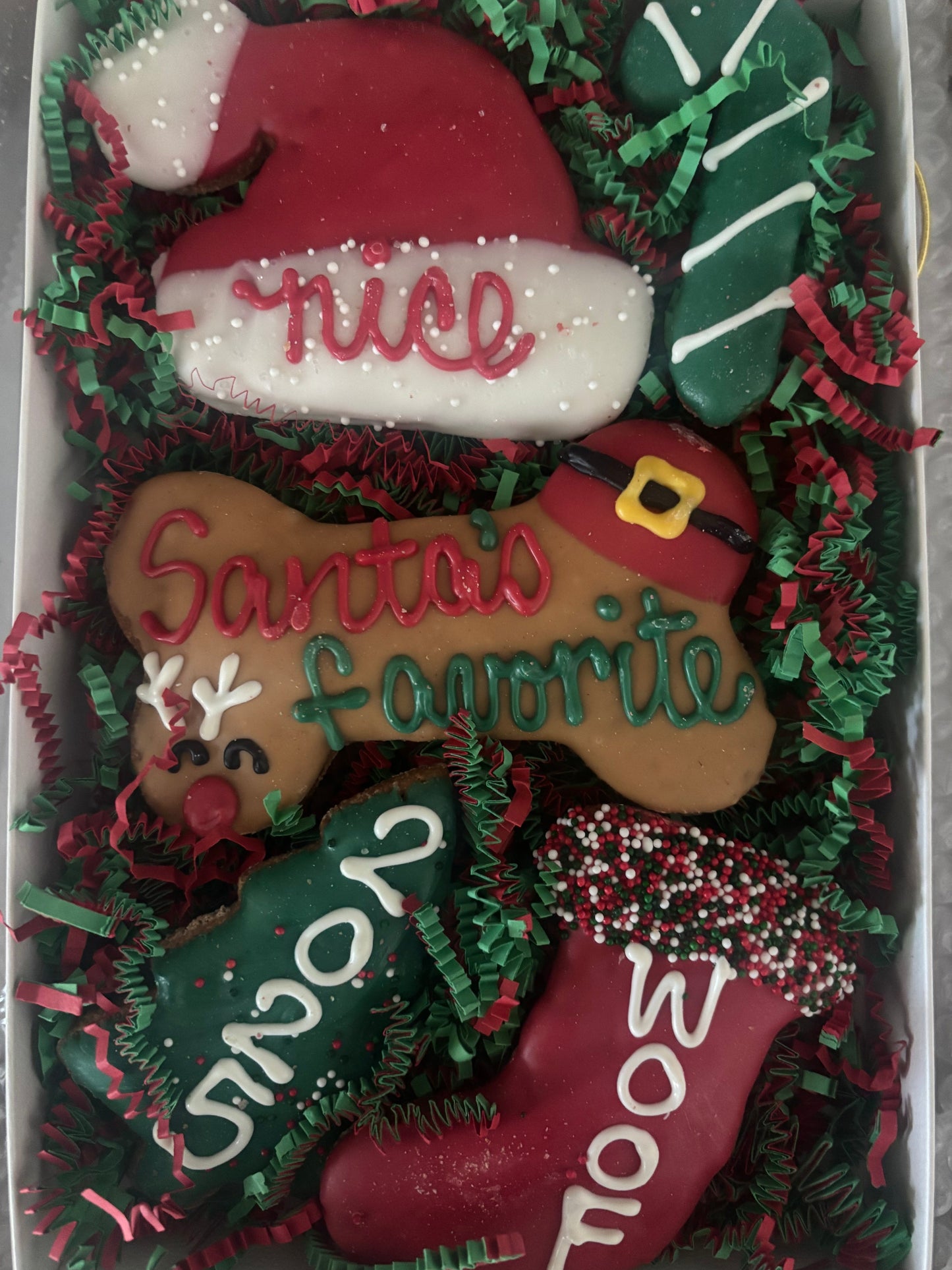 Santa's Favorite Christmas Dog Treat Box