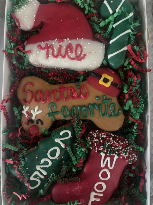 Santa's Favorite Christmas Dog Treat Box