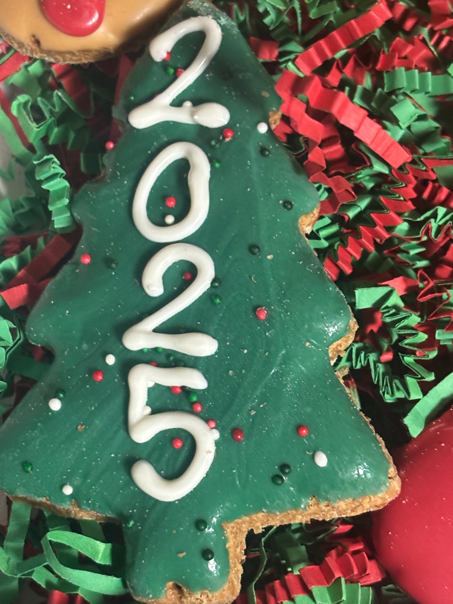 Santa's Favorite Christmas Dog Treat Box