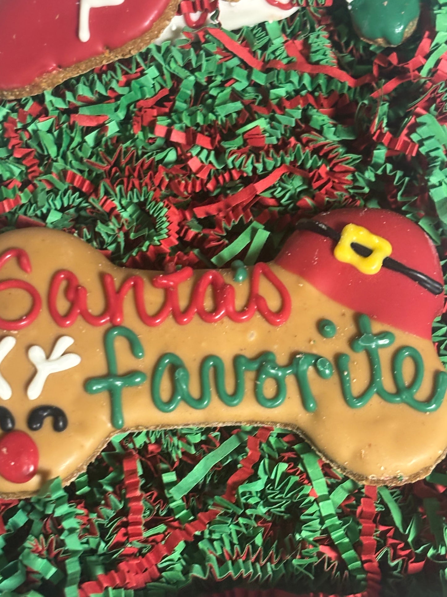 Santa's Favorite Christmas Dog Treat Box