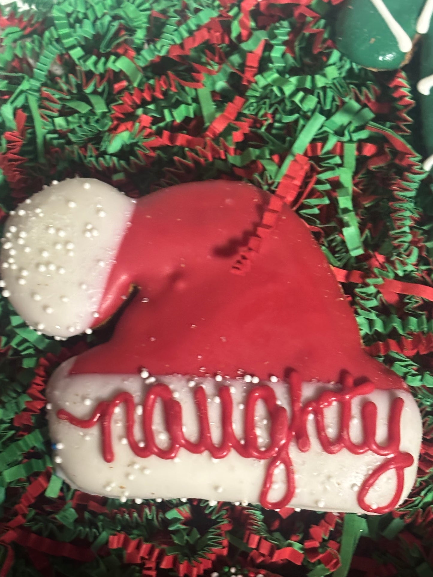 Santa's Favorite Christmas Dog Treat Box