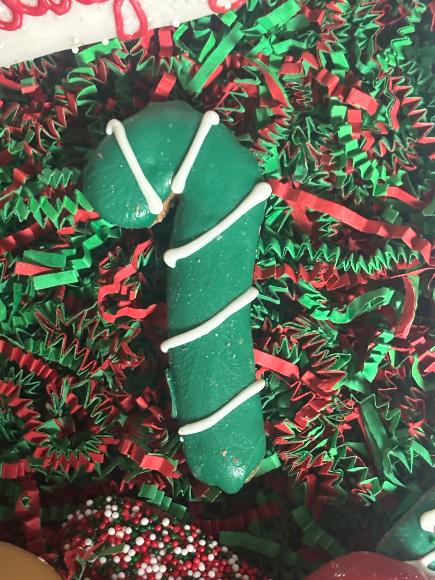 Santa's Favorite Christmas Dog Treat Box